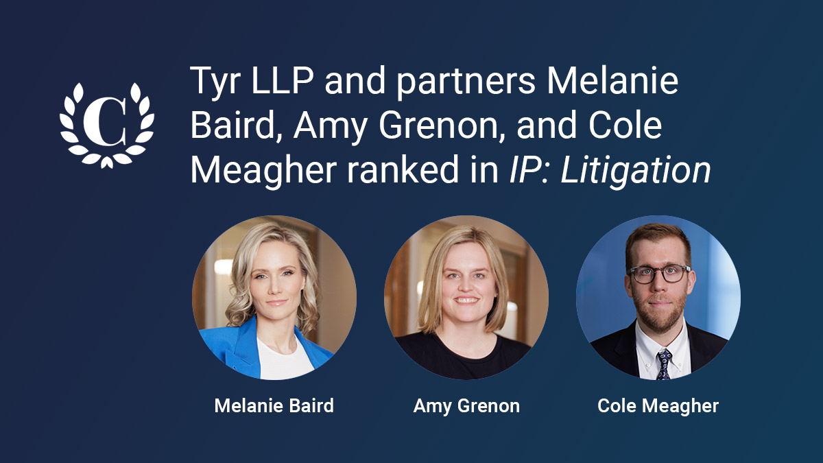 Intellectual Property: Litigation